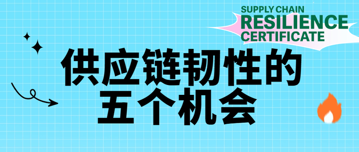 跨境电商供应链韧性影响因素的作用机制